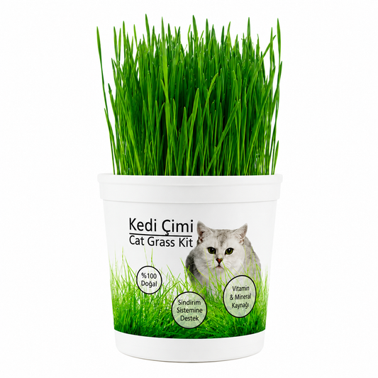 Kedi Çimi